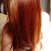 foto do perfil dors